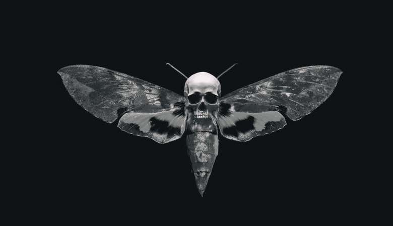 Death Head Moth Tattoos  Tattoo Artists  Inked Magazine