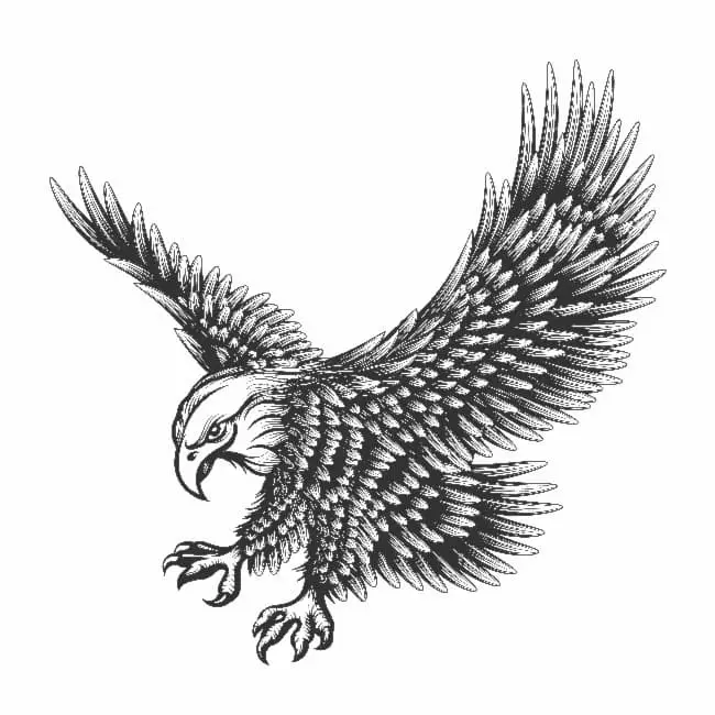 Black and white artist graphic of an eagle.
