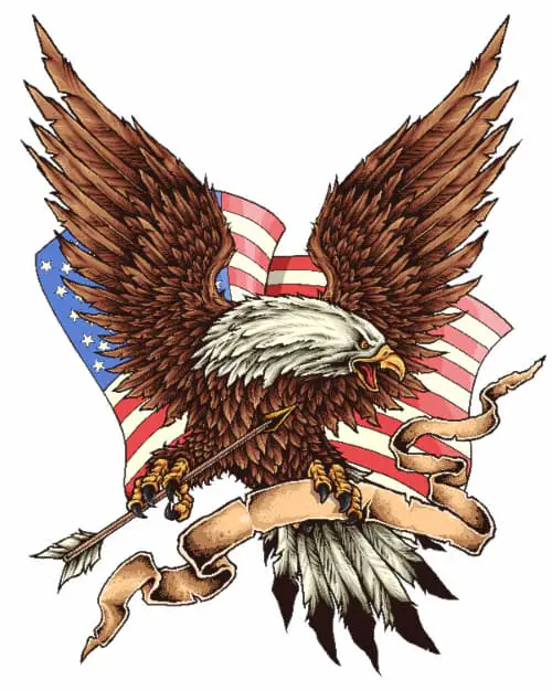 A graphic design of an eagle with an American flag in the background, drawn in a realistic style.