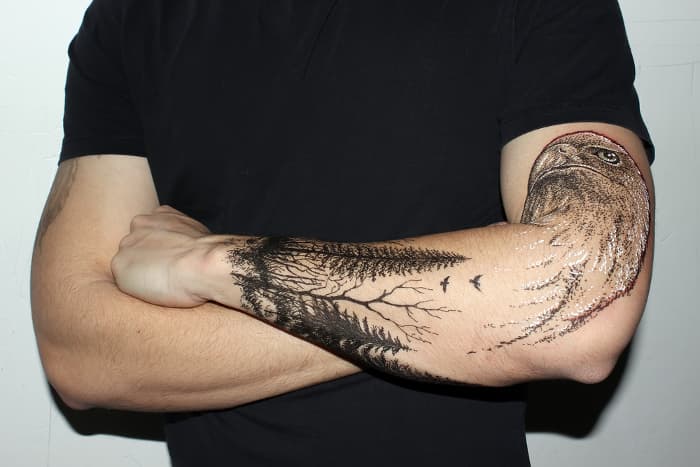 Eagle and tree tattoo art on a man's arm.  An eagle tattoo meaning depends on several factors including culture it represents and the overall context of other art it  may be paired with.