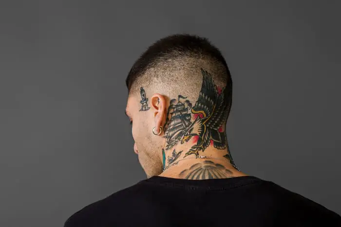 An eagle tattoo along with tattoos of a ship and other birds on the back of the head and neck of a man.