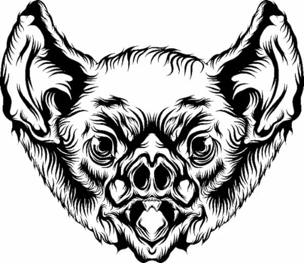 A black and white image of a bat's head created in a realistic style.