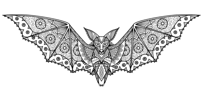 An adult coloring page image of a very elaborately detailed bat.