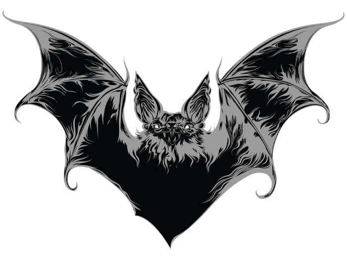 A black and gray image of a bat done in a realistic style found in comic books or graphic novels.