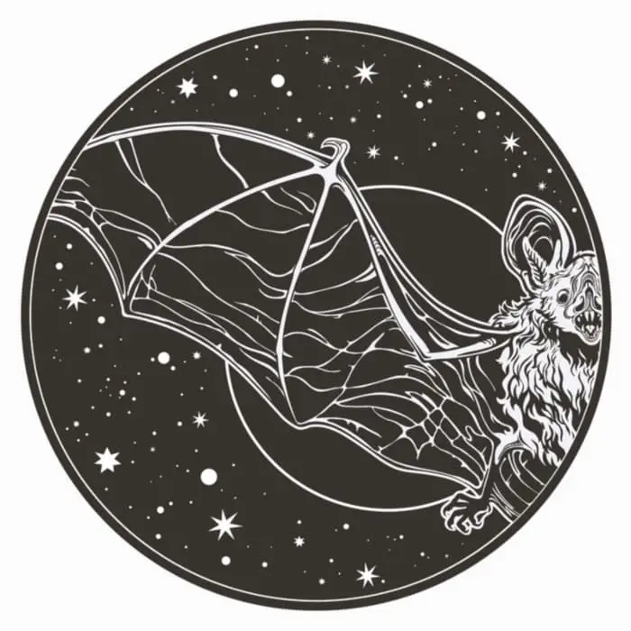 A round black and white image of a night sky with stars and a bat partially out of view where white space forms the image of the bats and the stars.