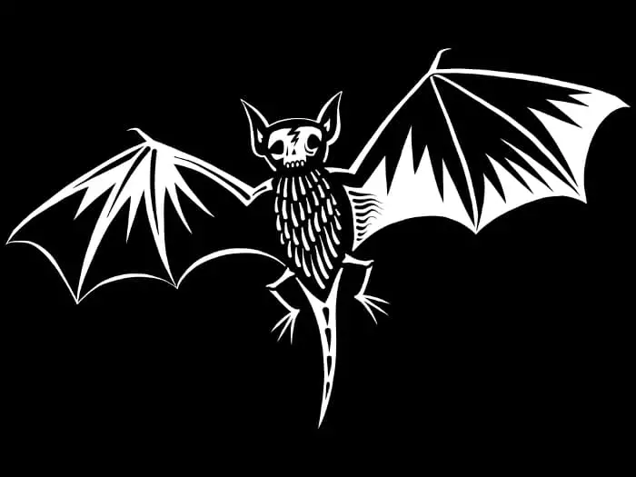 A black and white image of a bat shown as a flying skeleton.
