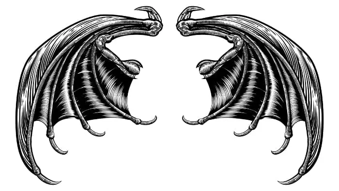 Black and white image of bat wings drawn in a realistic style.