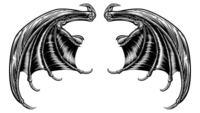 Black and white image of bat wings drawn in a realistic style.