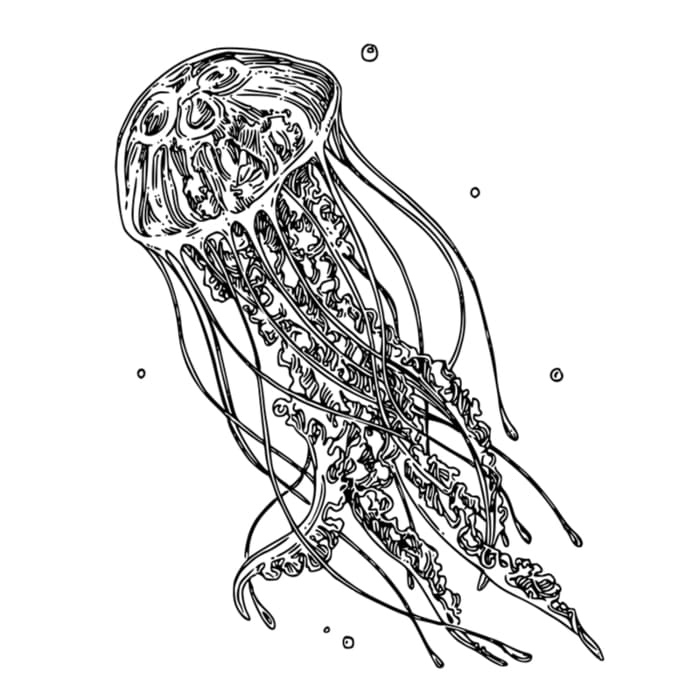 45 Designing a Unique and Symbolism Behind Jellyfish Tattoos