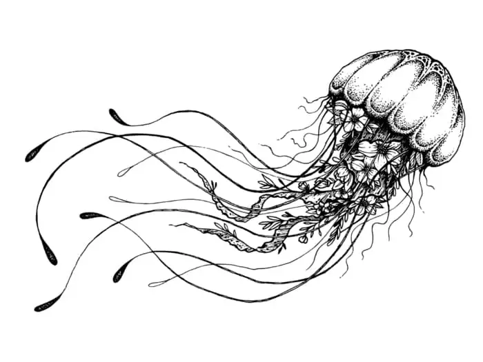 A black and white jellyfish drawn with the body and tentacles showing movement -- there are flowers shown in the tentacles, giving the image a fantasy mood.