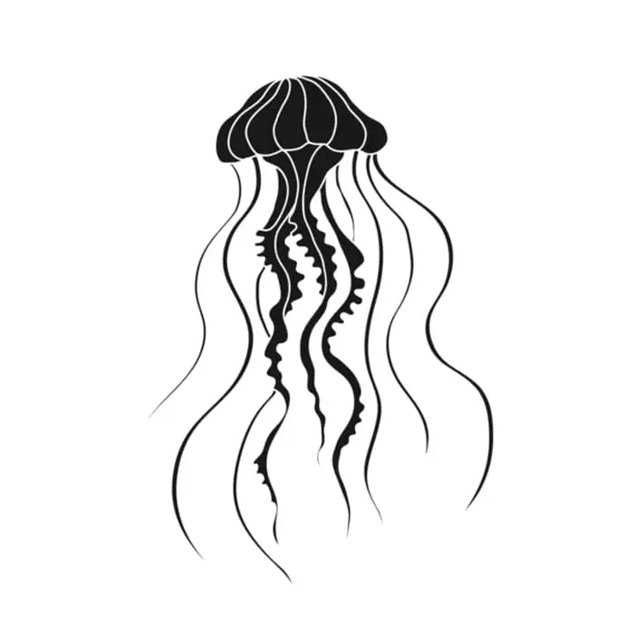 An image of a jellyfish that could be a template for a simple blackwork tattoo.