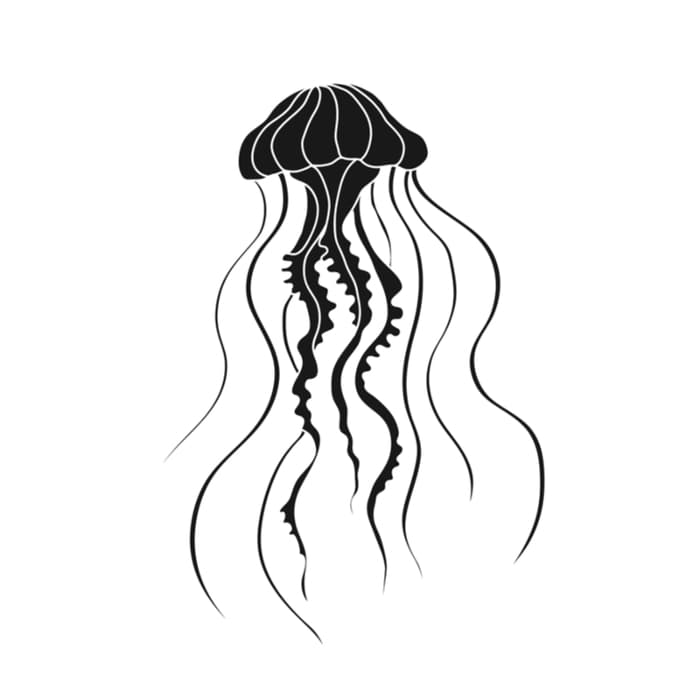 An image of a jellyfish that could be a template for a simple blackwork tattoo.