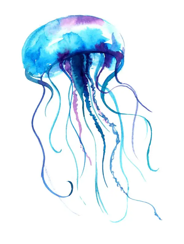 Another jellyfish in watercolor style done in shades of blue and purple.
