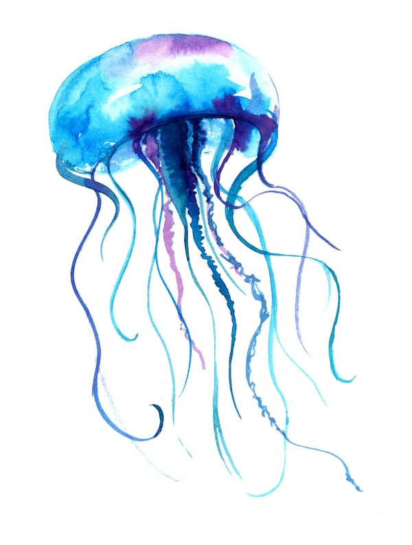 Another jellyfish in watercolor style done in shades of blue and purple.