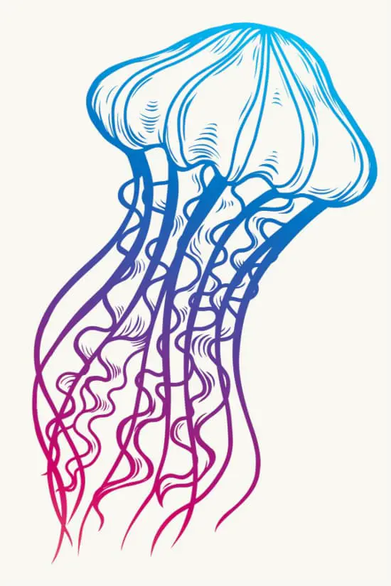 A simplified jellyfish in a rainbow color gradient.