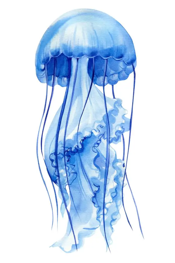 A watercolor-style jellyfish in a realistic style.