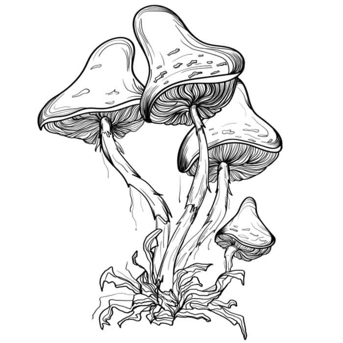 A black and white image of a group of mushrooms drawn in a surrealistic style.