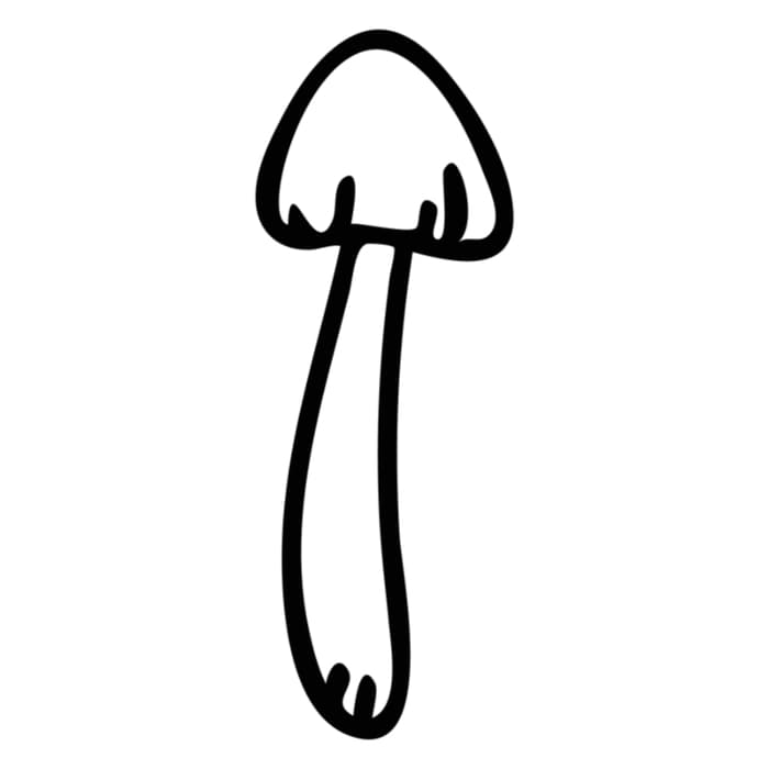 A simple black and white drawing of a mushroom.