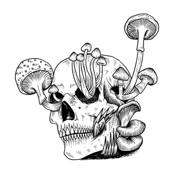 A black and white image of mushrooms growing out of the sockets and holes in a skull.