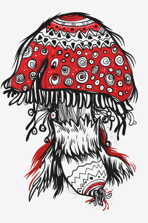 A red, white, and black mushroom drawn to look like the cap is covered with a southwestern-style blanket.