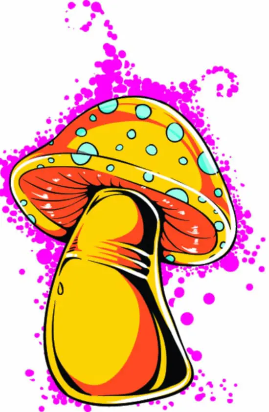 A very bold, colorful image of a mushroom.  If used for a tattoo, this mushroom tattoo meaning would be upbeat and cheerful.