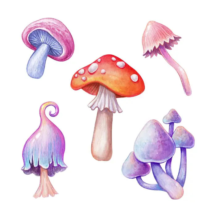 5 watercolor images of various mushrooms.