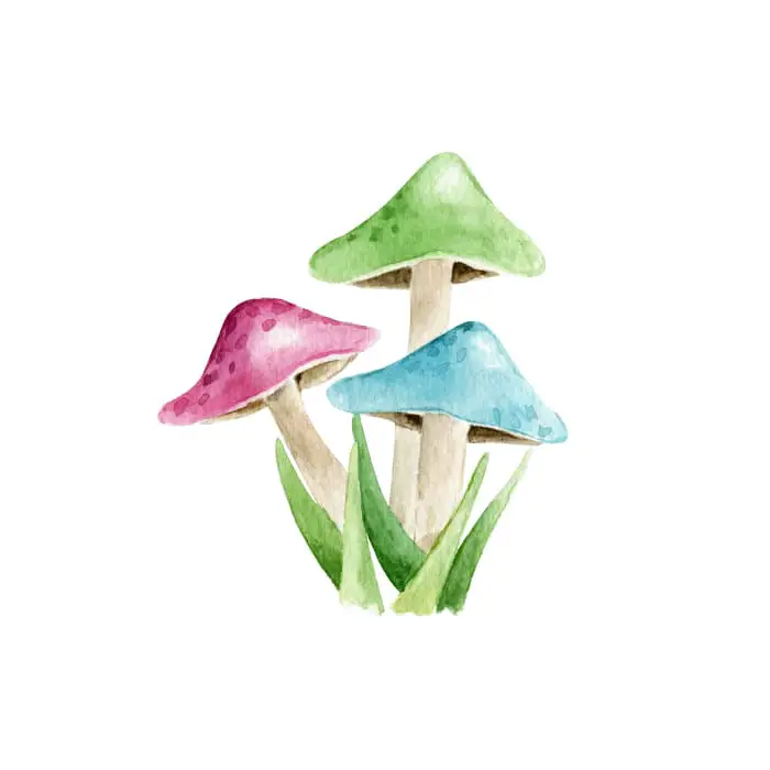 A watercolor image of three mushrooms.
