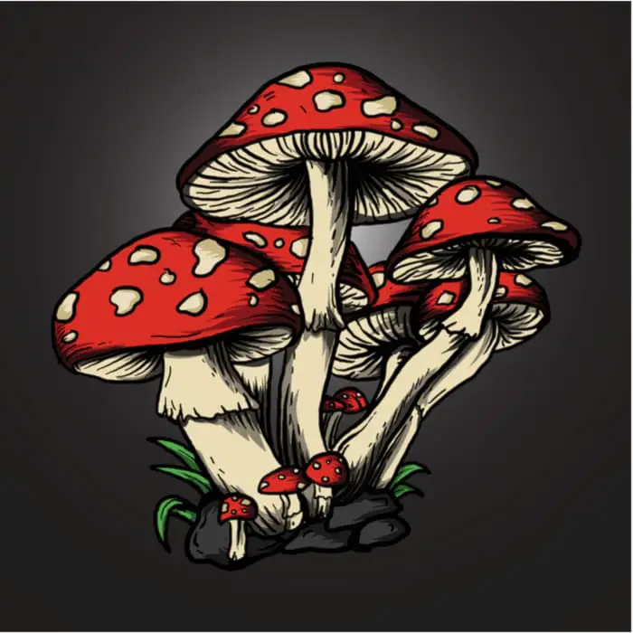 A color image of a cluster of mushrooms drawn in comic or graphic novel style.