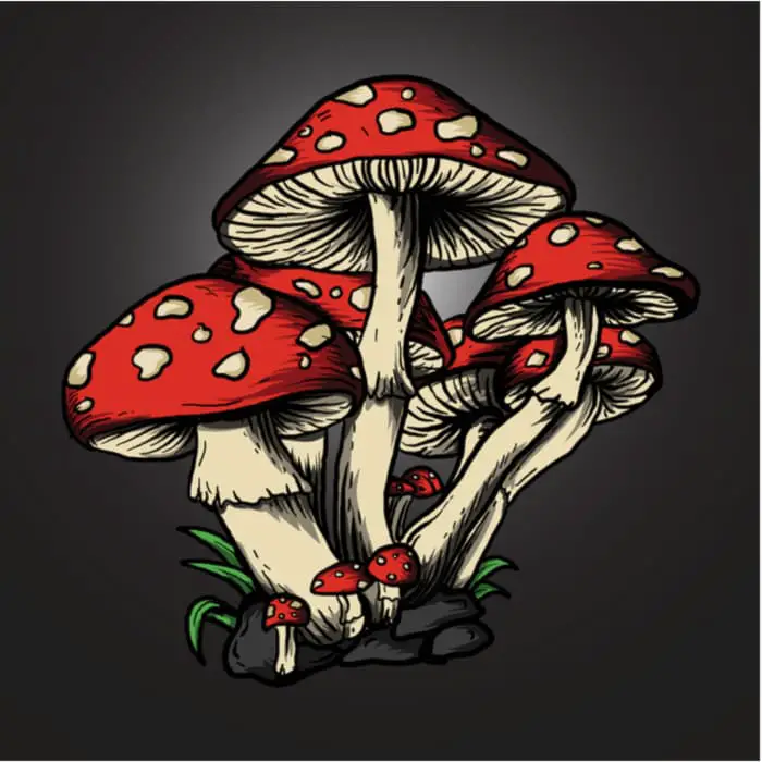 Mushroom Flash Tattoo by chloetattooart  Tattoogridnet