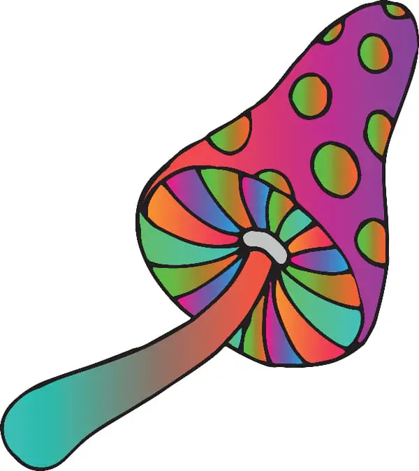 A colorful mushroom drawn in 60s psychedelic art style.