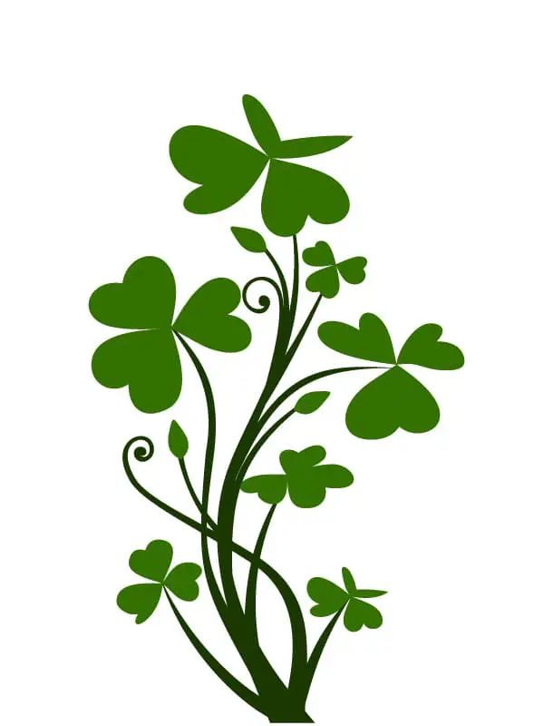 An intricate design of a cluster of shamrocks that overlap one another in two shades of green.  This could be used for a tattoo to run vertically on a larger area of the body.
