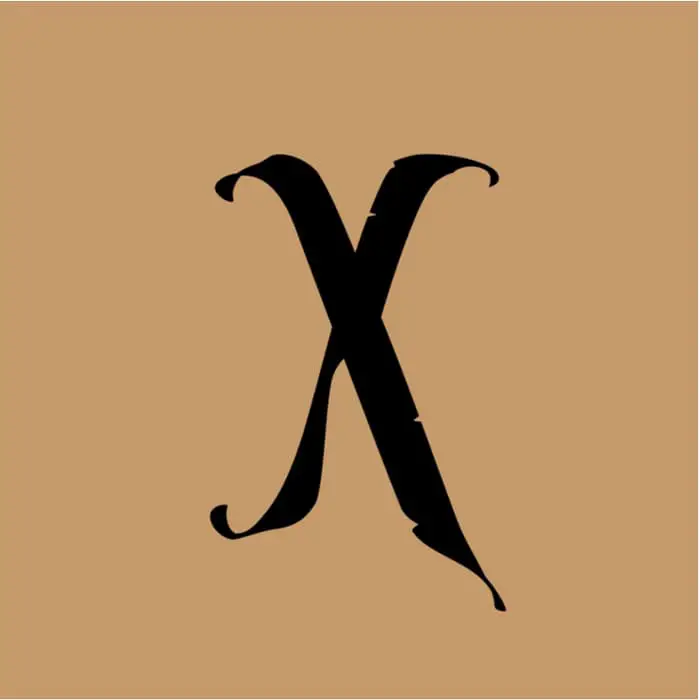 A black calligraphy font X.