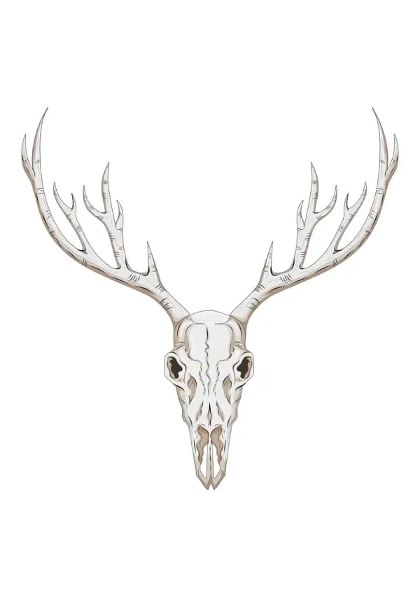 A stag deer skull image.