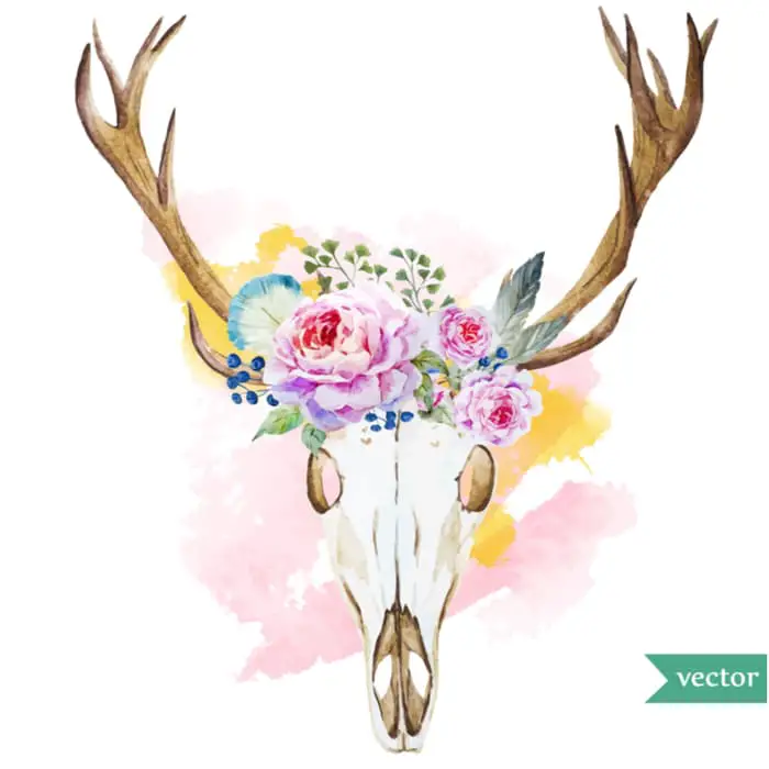 A watercolor image of a stag deer skull with flowers in between the base of the antlers.