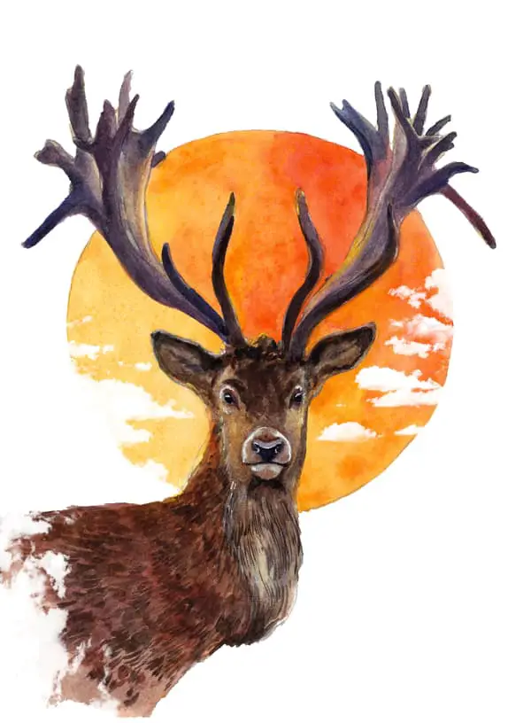 A watercolor image of the upper body of a stag deer with the image of the sun behind it.