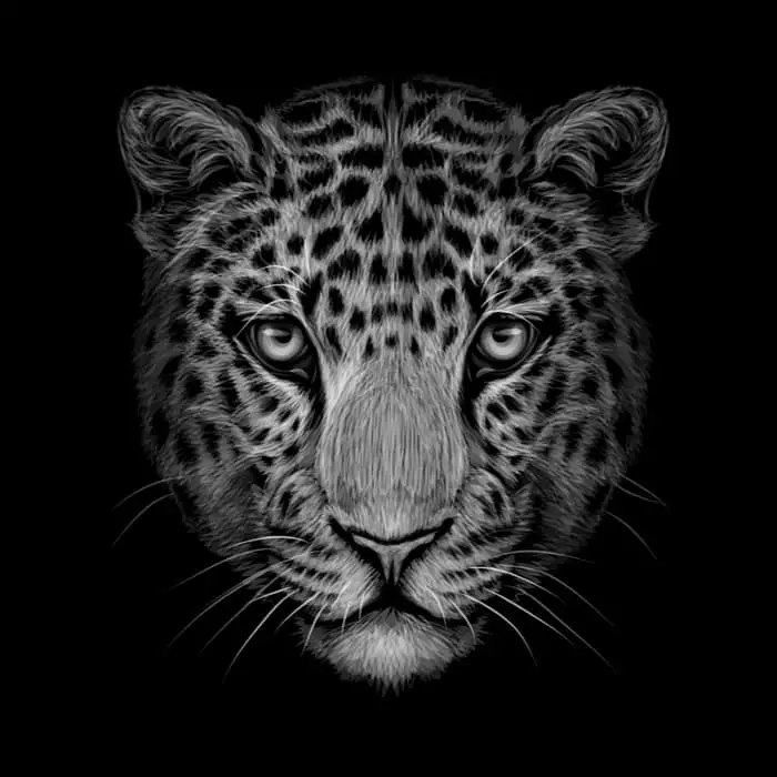 A black and white jaguar head image in a realism style.