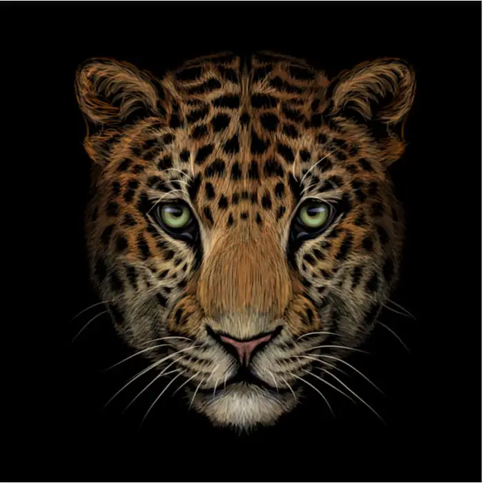 A color image of a jaguar head in a realism style.