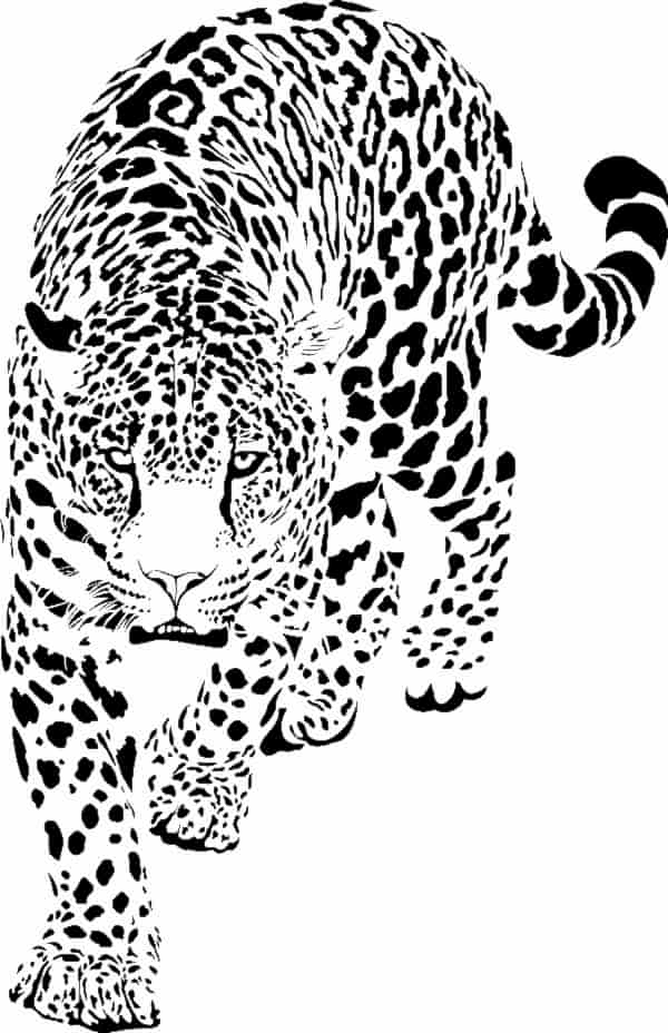 The Jaguar Tattoo: What It Means, What You Should Know, and Ideas For ...