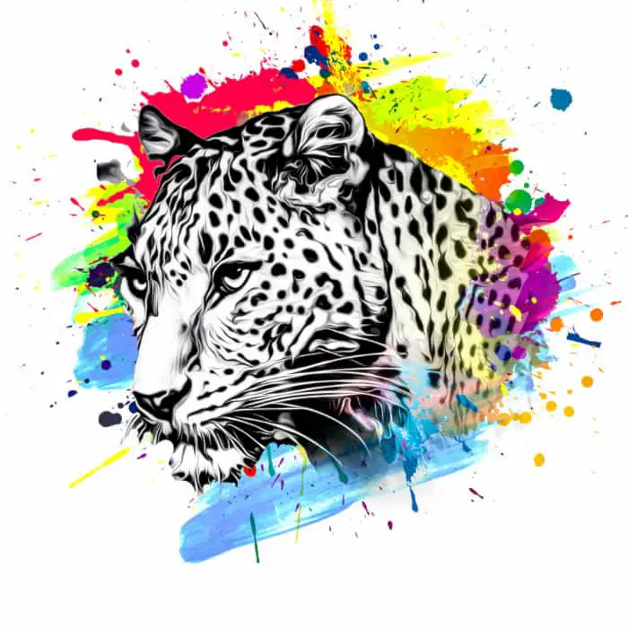 A black and white jaguar head with brightly colored "paint splatters" around it.