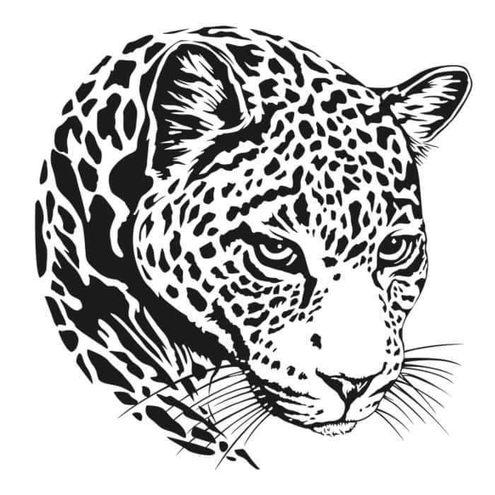 A black and white jaguar head image.