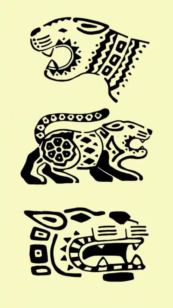 Jaguar Tattoo Meaning  What Do Jaguar Tattoos Symbolize  Next Luxury