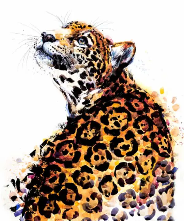 A watercolor image of a jaguar looking over its shoulder.