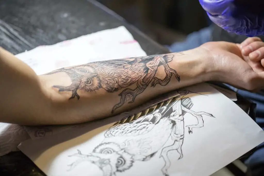 An owl tattoo on a man's inner forearm and the tattoo artist's sketch next to it.