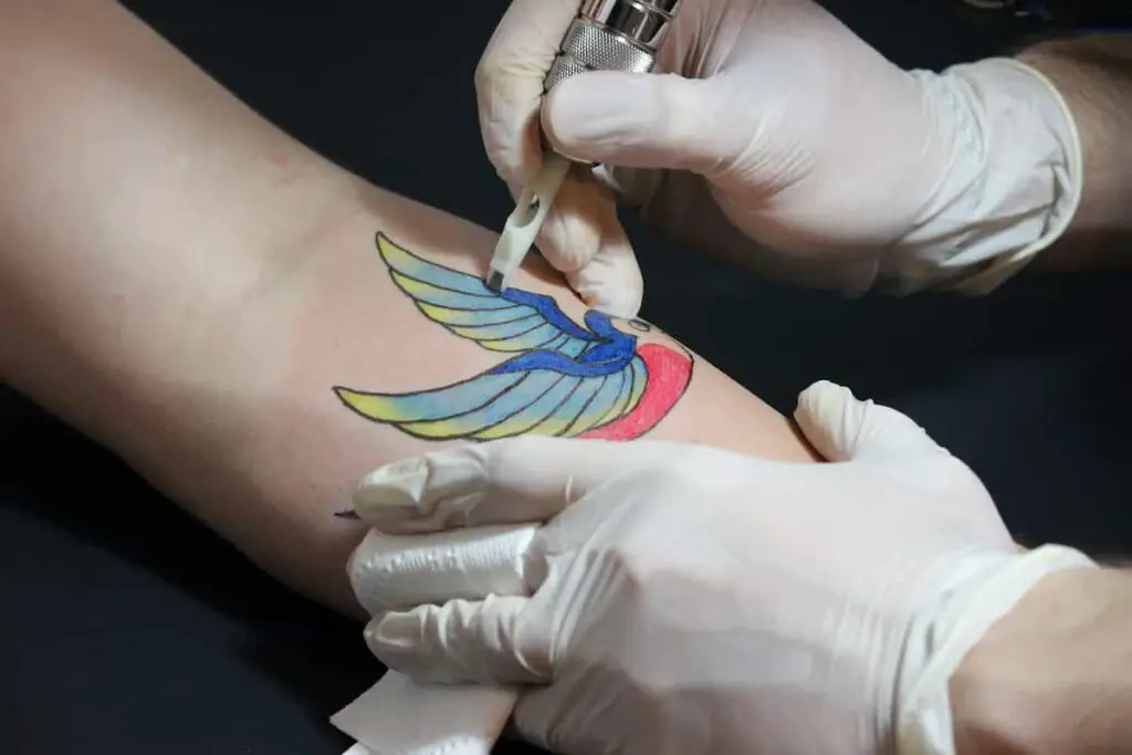 A colorful swallow tattoo. Swallow tattoo meaning.